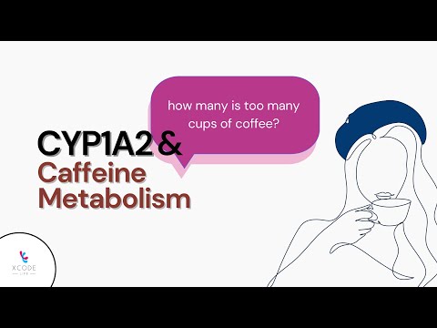 What Role Does The CYP1A2 Gene Play In Caffeine Metabolism?