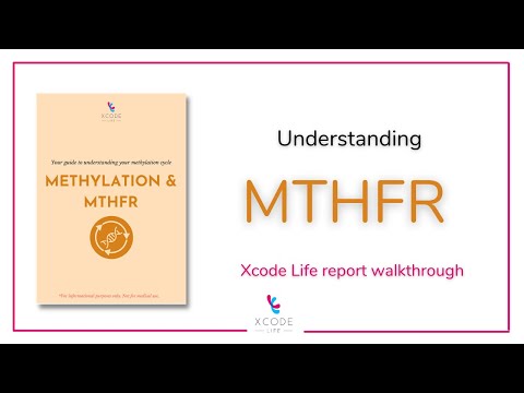 How Does Your MTHFR Gene Variant Influence the Methylation Status?